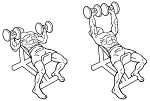 Dumbbell-Incline-Bench-Press