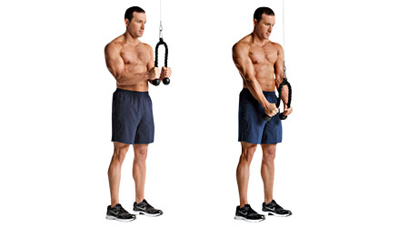 cable tricep pushdown 1