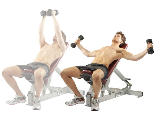 incline-DB-fly-chest-1504-de