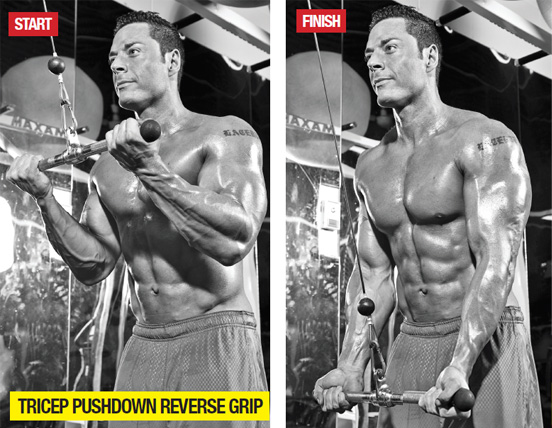 reverse tricep cable pushdown