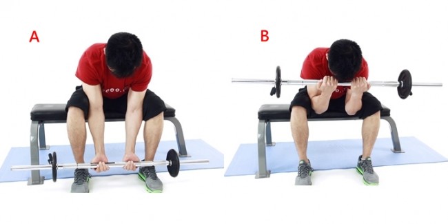 seated_close-grip_concentration_barbell_curl full