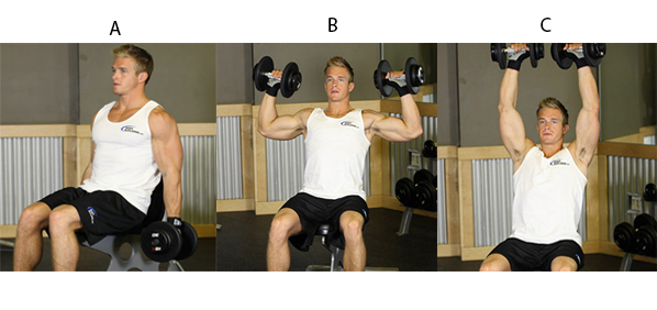 Seated-Dumbbell-Cleans-And-Press
