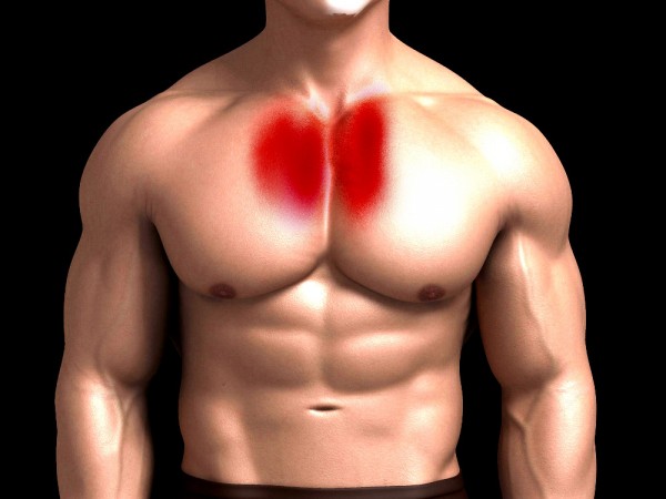 inner chest