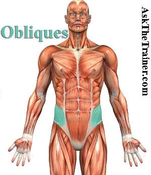 obliques-exercise-videos