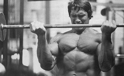 Arnold_Schwarzenegger_784_(1)