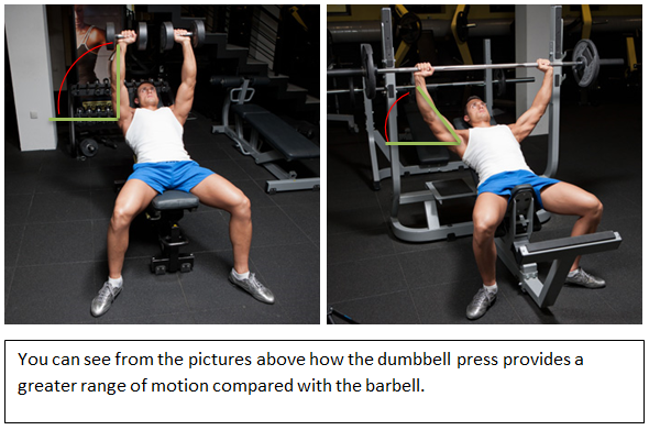 barbell-and-dumbbell-range-of-motion