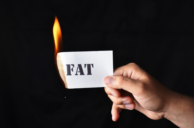 burn-fat-fast1
