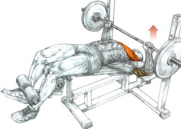 bench-press-muscles