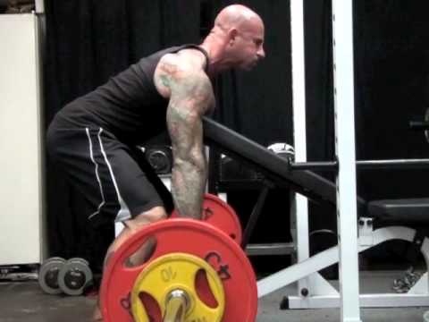 bent over row supported by bench