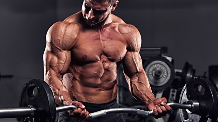 How-to-Increase-Cell-Volume-for-Fast-Muscle-Growth (1)