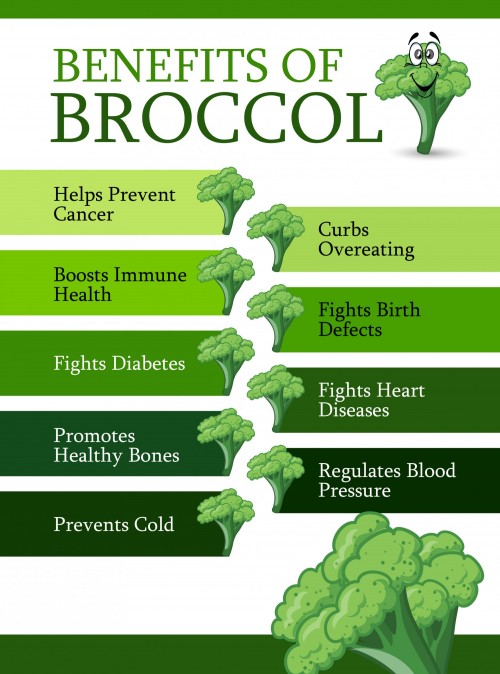 the-9-benefits-of-broccoli_537095465f384_w1500