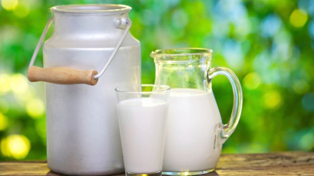 飲食控制-碳水化合物-牛奶
