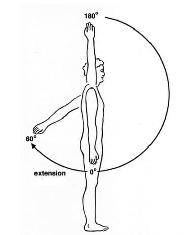 肩伸展 -shoulder extension